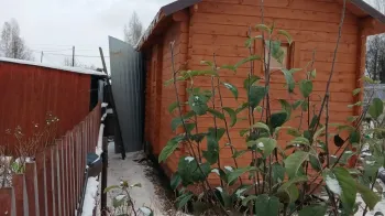 Строительство бани на участке в Томске, СНТ Пенсионер