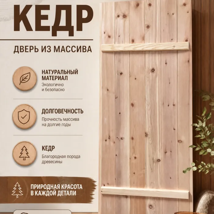Дверь Банная